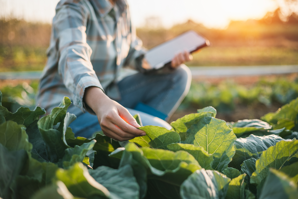 dashSpend for Agriculture Businesses