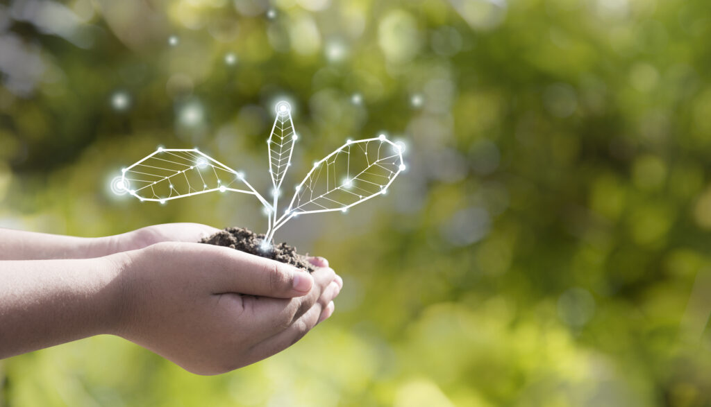 energy carbon footprint image hands holding a leaf made of electricity light